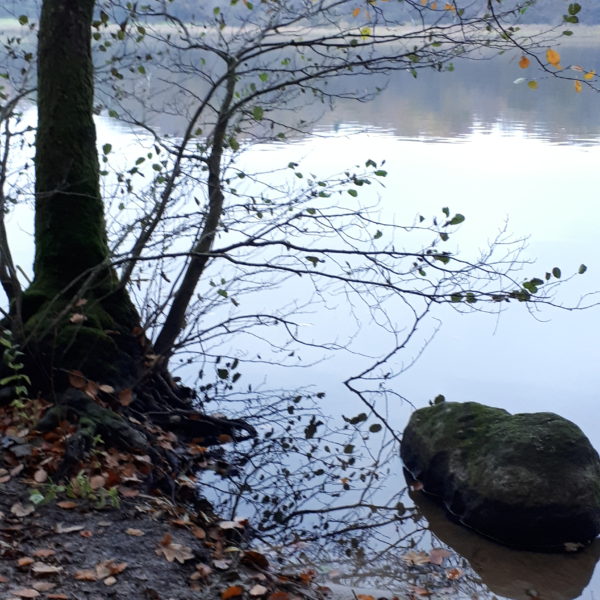 Når stress ånder dig i nakken
