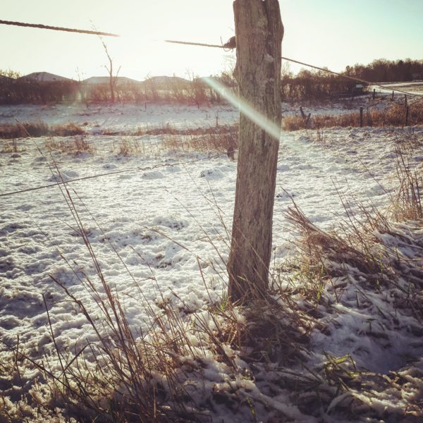 Vinter og barndomsminder