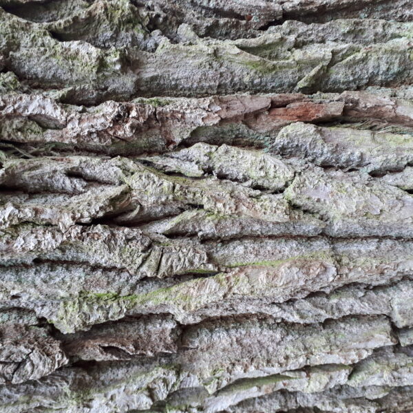 Alenetid og at turde være stille